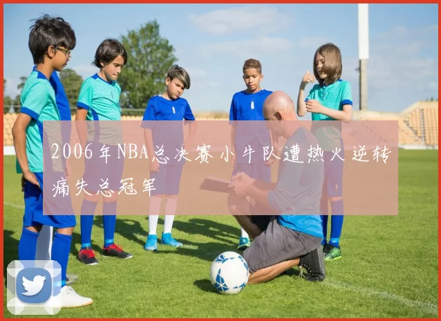 2006年NBA总决赛小牛队遭热火逆转痛失总冠军