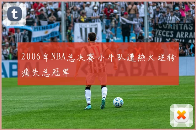 2006年NBA总决赛小牛队遭热火逆转痛失总冠军