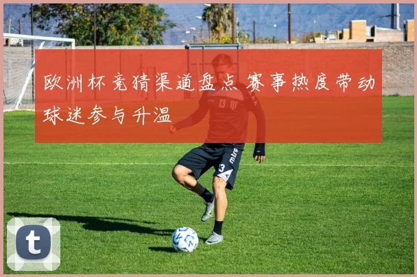 欧洲杯竞猜渠道盘点 赛事热度带动球迷参与升温