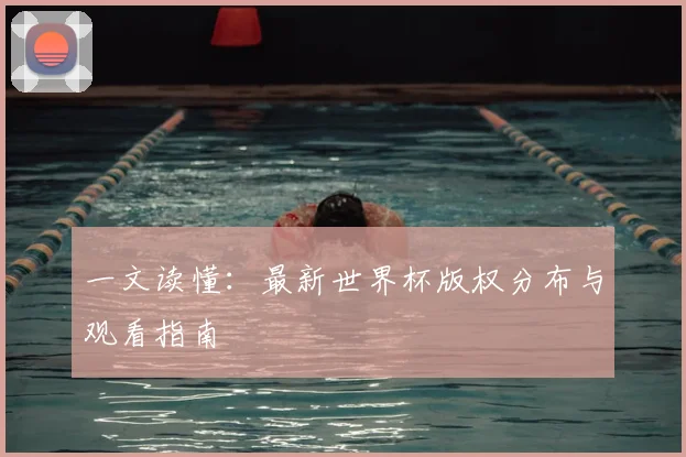 一文读懂：最新世界杯版权分布与观看指南