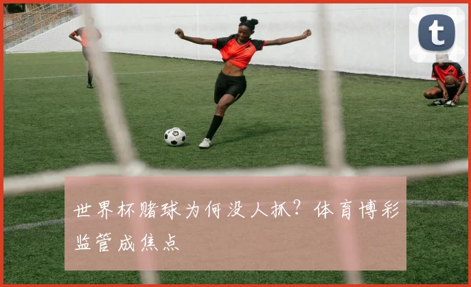 世界杯赌球为何没人抓?体育博彩监管成焦点