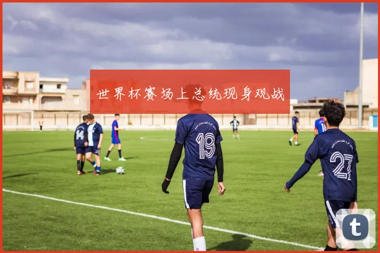 世界杯赛场上总统现身观战