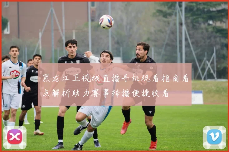 黑龙江卫视线直播手机观看指南看点解析助力赛事转播便捷收看