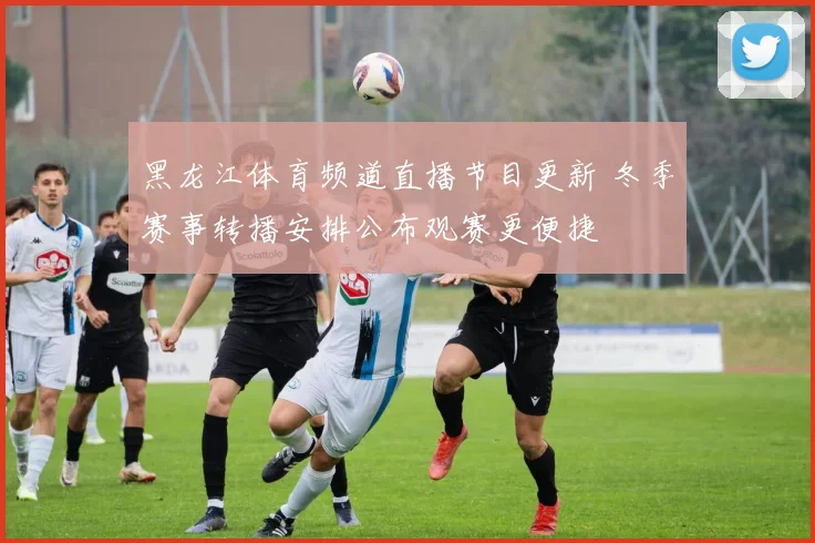 黑龙江体育频道直播节目更新 冬季赛事转播安排公布观赛更便捷